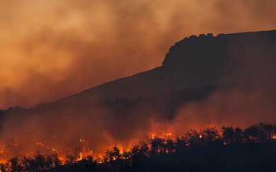 Word for the Week — February 16, 2026