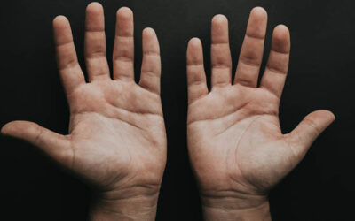 Word for the Week — April 20, 2026