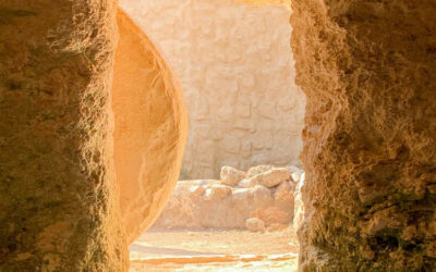 Word for the Week — April 6, 2026