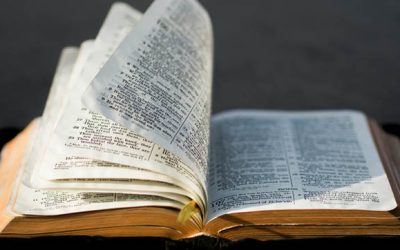 Word for the Week — June 1, 2026
