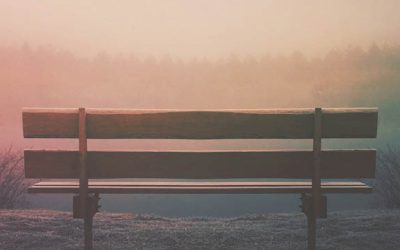 Word for the Week — July 20, 2026