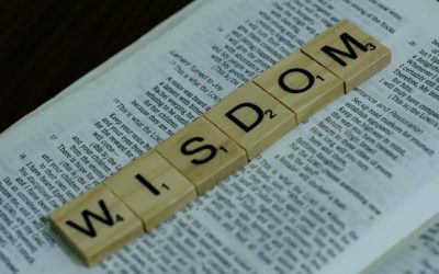 Word for the Week — August 10, 2026