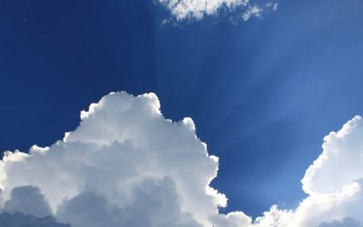 Word for the Week — July 27, 2026